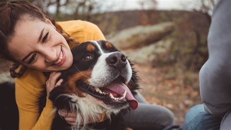 videos de perros con mujeres|44,961 vídeos de Mujer y perro libres de derechos